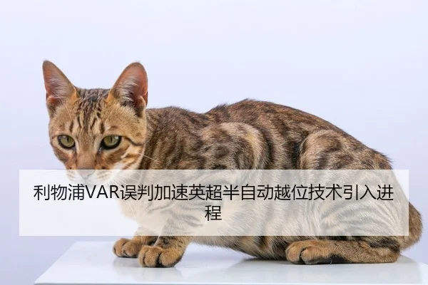 利物浦VAR误判加速英超半自动越位技术引入进程 | hth