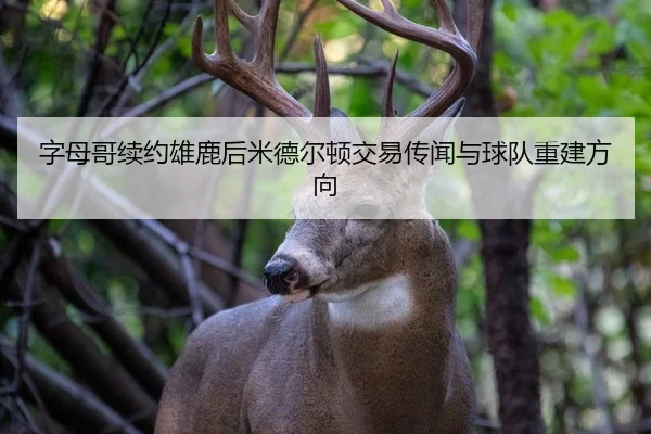 zi-mu-ge-xu-yue-xiong-lu-hou-mi-de-er-dun-jiao-yi-chuan-wen-yu-qiu-dui-chong-jian-fang-xiang-2-162.jpg