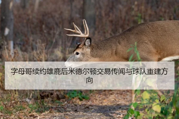 字母哥续约雄鹿后米德尔顿交易传闻与球队重建方向（hth）